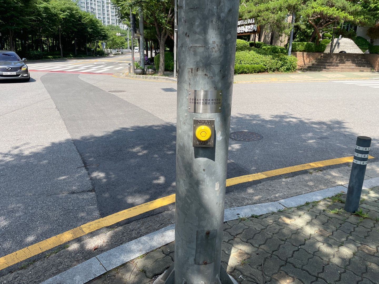김포시 횡단보도 음향신호기 설치 현장
